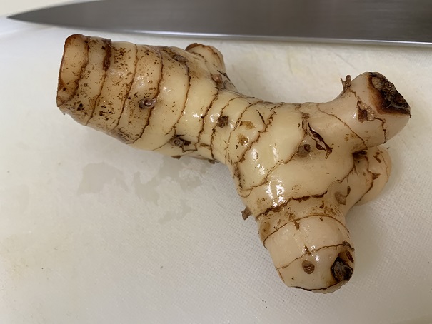 galangal2